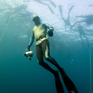 Freediving off of Catalina Island
