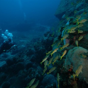 Caverna da Sapata