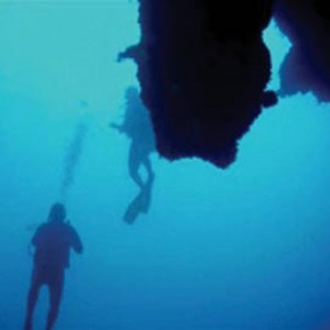 Caribbean Seafari Dives