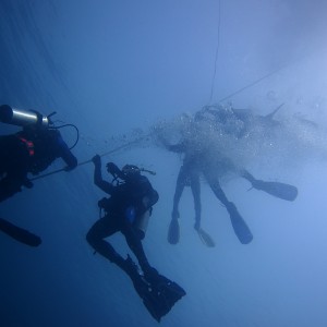 Divers_801