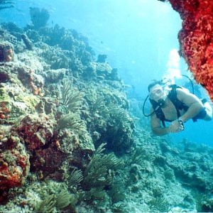 Cancun Coral