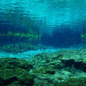 Ginnie Springs