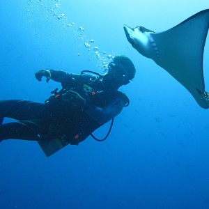 Me n eagle ray (By stefanie lernet)