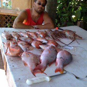 hogfish7