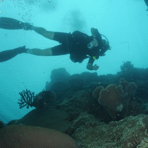 Best of Fiji 2010 Aug.