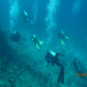 Best of Fiji 2010 Aug.