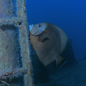 Vandenberg Photos