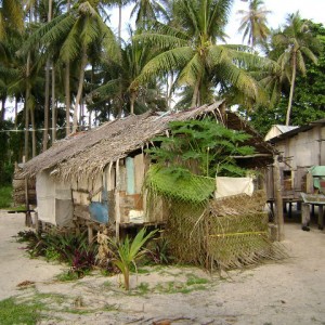 Local hut