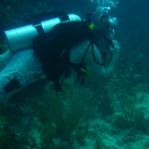 diving in Key Largo