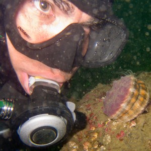 Shane and the Scallop