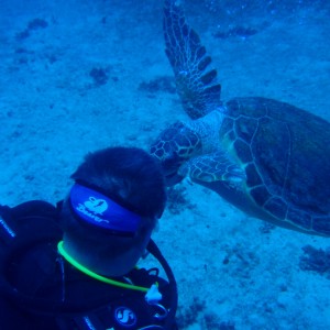 Close encounter 2