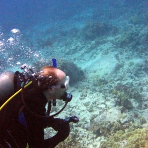 Kona_Diving_2005_SB26