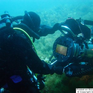 Pawel filming leafy seadragons