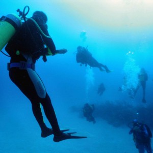 Cuba Divers
