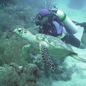 our week of diving and relaxing in Belize on TIR