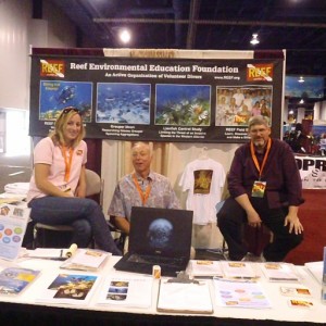 DEMA 2010