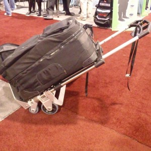 DEMA 2010