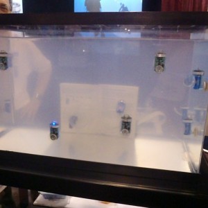 DEMA 2010