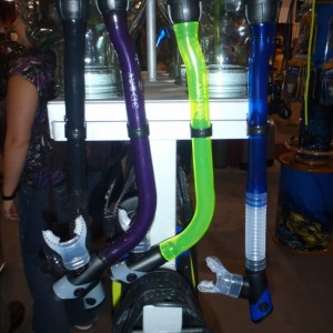 DEMA 2010