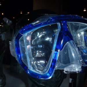 DEMA 2010