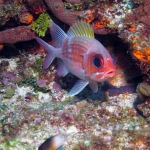 Cozumel November 2010