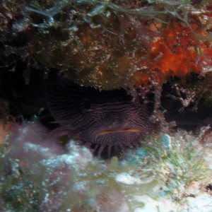 Cozumel November 2010