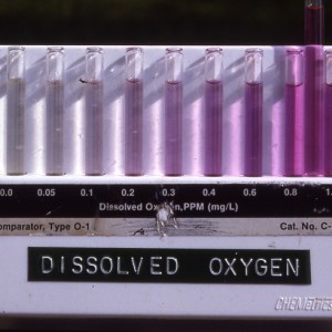 Oxygen analysis equipment