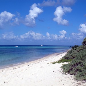 Surface Interval on the Beach