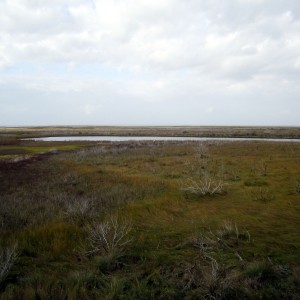 Thanksgiving_Galveston_11-25-2010_4-23-09_PM