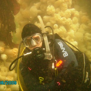 Les Davis Pier (sunken pier)