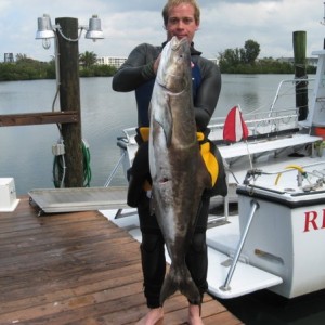 bigcobia