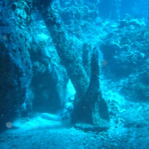 DSC053631