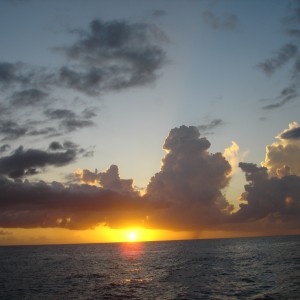DSC052681