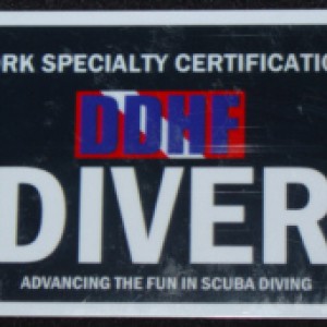 Dork Diver Card1
