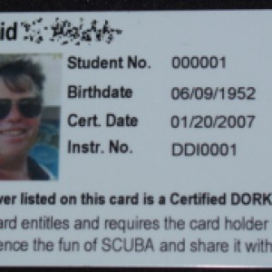 Dork Diver Card2