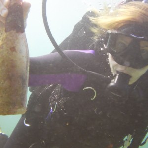 Lauderdale By The Sea Shore diving