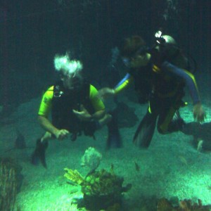 Disney Epcot Dive with Students