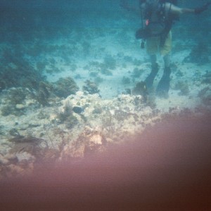 Key West Chartered Dive 2009