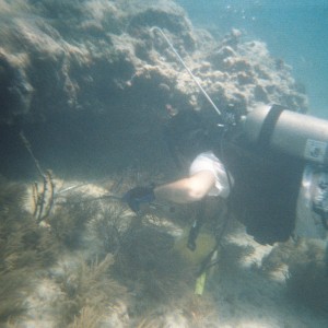 Key West Lobster Dive 2010