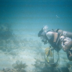 Key West Lobster Dive 2010