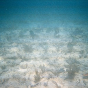 Key West Lobster Dive 2010