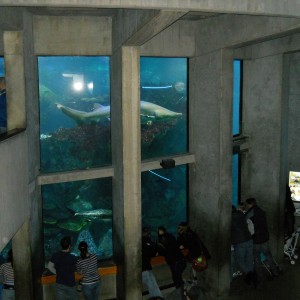 NE Aquarium