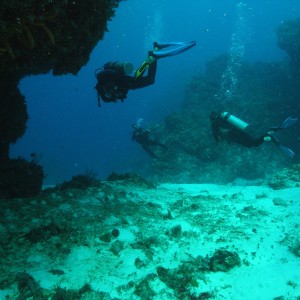 Eploring the reef, Cozumel