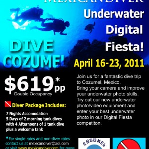 Underwater Digital Fiesta