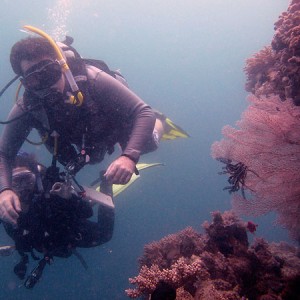 Cod Hole Great Barrier Reef