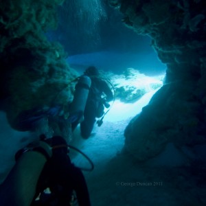 Cozumel 2011