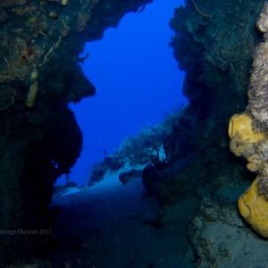 Cozumel 2011