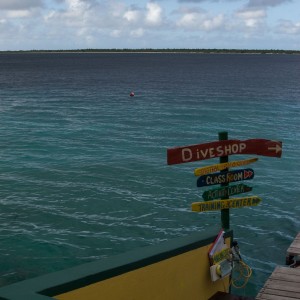 Buddy Dive, Bonaire