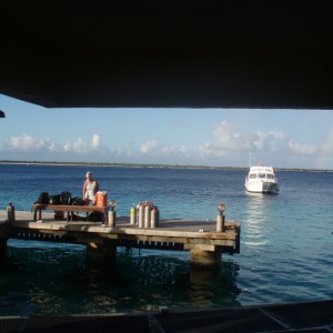 Buddy Dive Boat dock from gear room