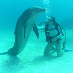 Dolphin_Dive_9_picnik
